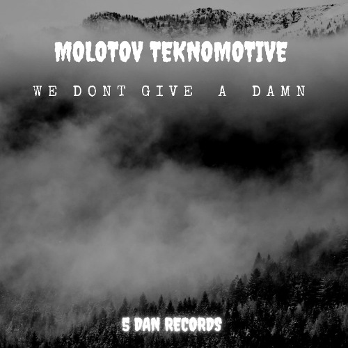 molotov teknomotive : we dont give a dmn