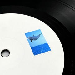 Dolphins - Auftauchen (Pinkman)