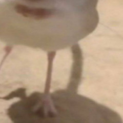 Day 3 Of Brimingham | [DJ PEDOPHILE x BLACK KRAY Type Beat] [FREE]