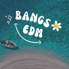 BANGS EDM SOUND VOL.5 [LATIN TECH HOUSE REMIXES, EDITS & MASHUPS]