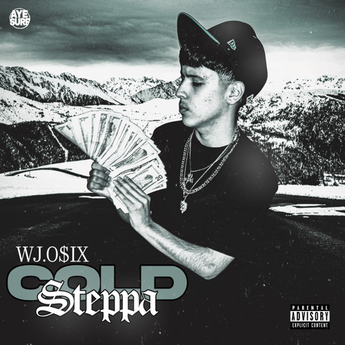 Cold Steppa