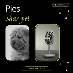 Pies  Shar Pei