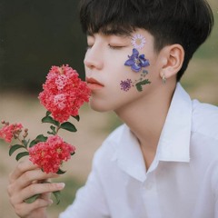 Dương Edward - Mưa Trên Cuộc Tình - Gin Remix