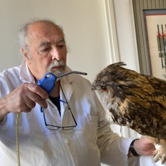 Yves Walter - Restaurateur du patrimoine en section zoologie