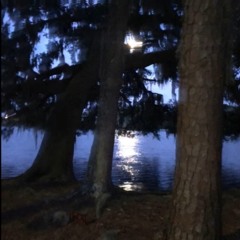 Savage [Feat AmantoKane]