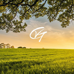 Field