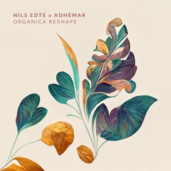 Nils Edte x Adhémar - Organica Reshape [PITCH19 | Indefinite Pitch]