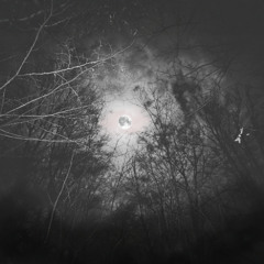 w08 v5 vox demo (madman)