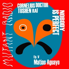 Nobody Is Perfect #5 Tushen Raï & Cornelius Doctor invite Matias Aguayo [27.02.2021]