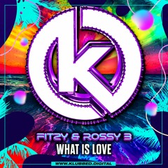 Fitzy & Rossy B - What Is Love