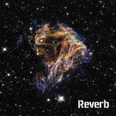 Reverb 16