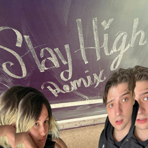 Habits (Stay High)  - Tove Lo (ceecantfindu remix)