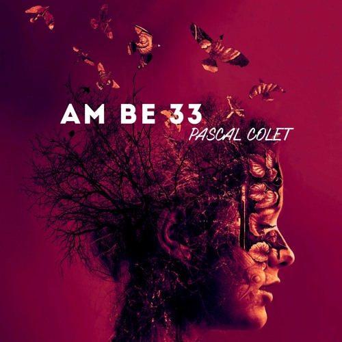 Pascal Colet - Am be 33 (Live Snipped Mix) - 2019