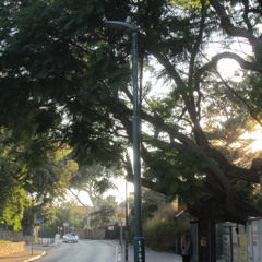 ALASKALASKA - Meateater