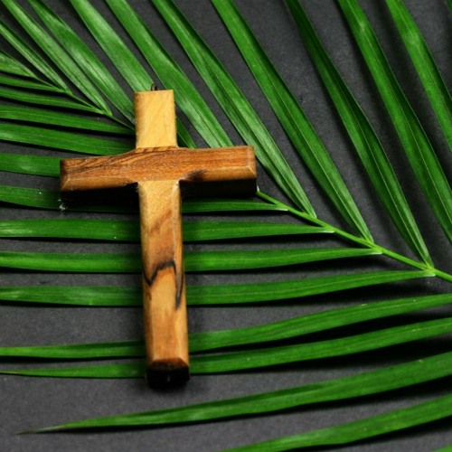 Palm Sunday - Was Mass Different Today?