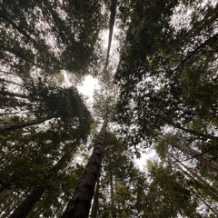 Mayito - mistakes-  ft unbothaj