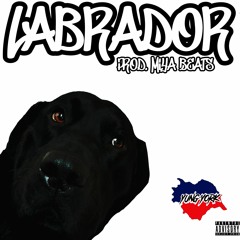 Labrador Prod. MiyaBeats