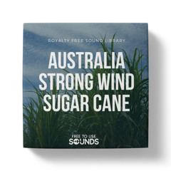 Wind Sounds in Sugar Cane Fields Compilation