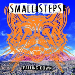 Small Steps Baby