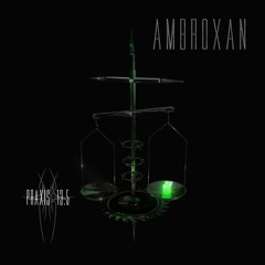 AMBROXAN Praxis13.5 #40