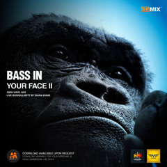 BASS IN YOUR FACE [SINGULARITY VINYL MIX]