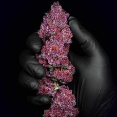 the streets fit but dont you know it dnb remix 2023-12-07_12-30-39.mp3