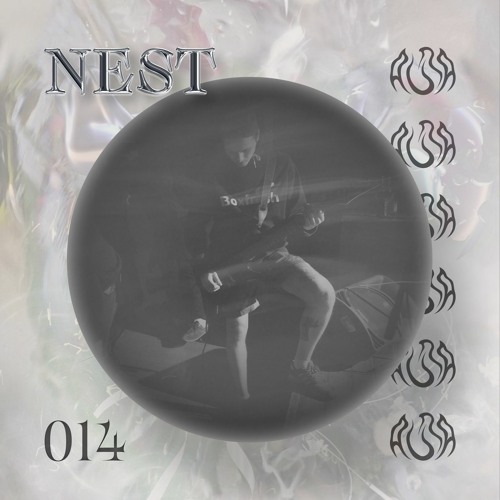 Podcast 014 Nest