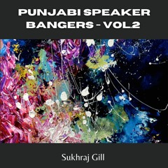 Punjabi Speaker Bangers - Vol.2