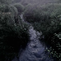 Underwater City WW preview