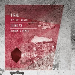 DGR073 T.R.O. - Destroy Again (WINDOM R Remix) (cut)