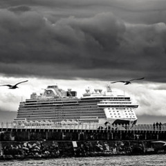 Bateau-Jules.Rnp