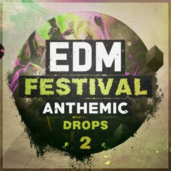 EDM Festival Anthemic Drops 2