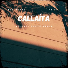Bad Bunny, Tainy - Callaita (Michael Borth Remix)