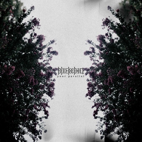 12/26/21