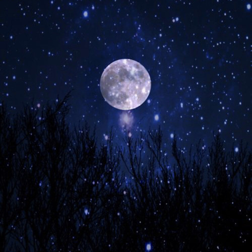 ALWAYS NIGHT