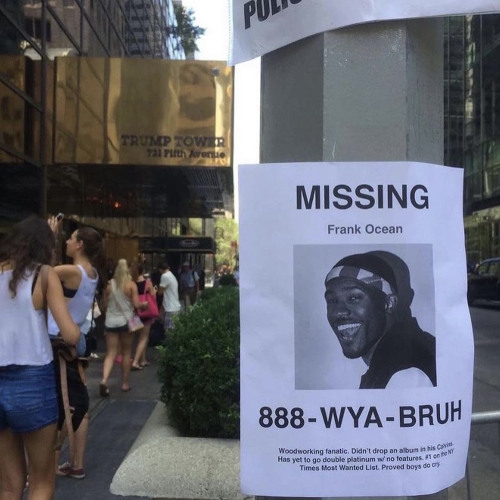 @jeepierree - paixão só existe na nossa língua ❤️‍🩹 (sped up)