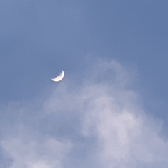 Lo-fi hiphop beat #1