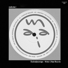 exclusive | Electrodynamique - Winter | Maai Records