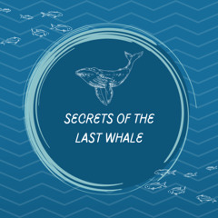 Secrets of the Last Whale Cousin
