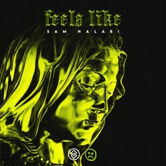 Sam Halabi - Feels Like