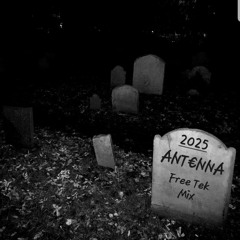 Sunrise Mix - Free Tek Fest 2025