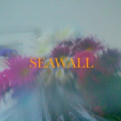 Neev - Seawall (Imaanov Remix)