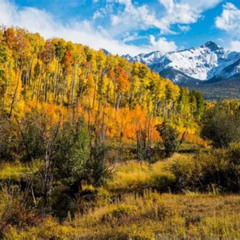 Best Discover Rocky Mountain National Park From Denver Or Boulder Tours Review
