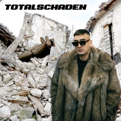 Totalschaden (dub)