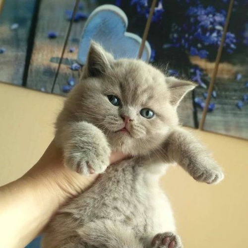 Brightly And Sparkling