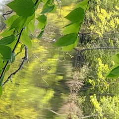 Beat loop from new track in progress