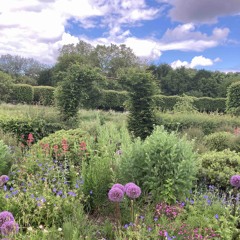 « Peace, Reset and Rest » instrumental