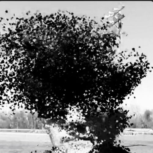 Bring Me Back To That Old Place