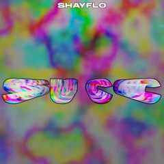 SHAYFLO - SUCC (FREE DOWNLOAD LINK)