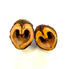 Numb Nuts (prod. YoungTaylor)